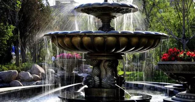 1548915106781613.jpg 20180528145448_6520.jpg