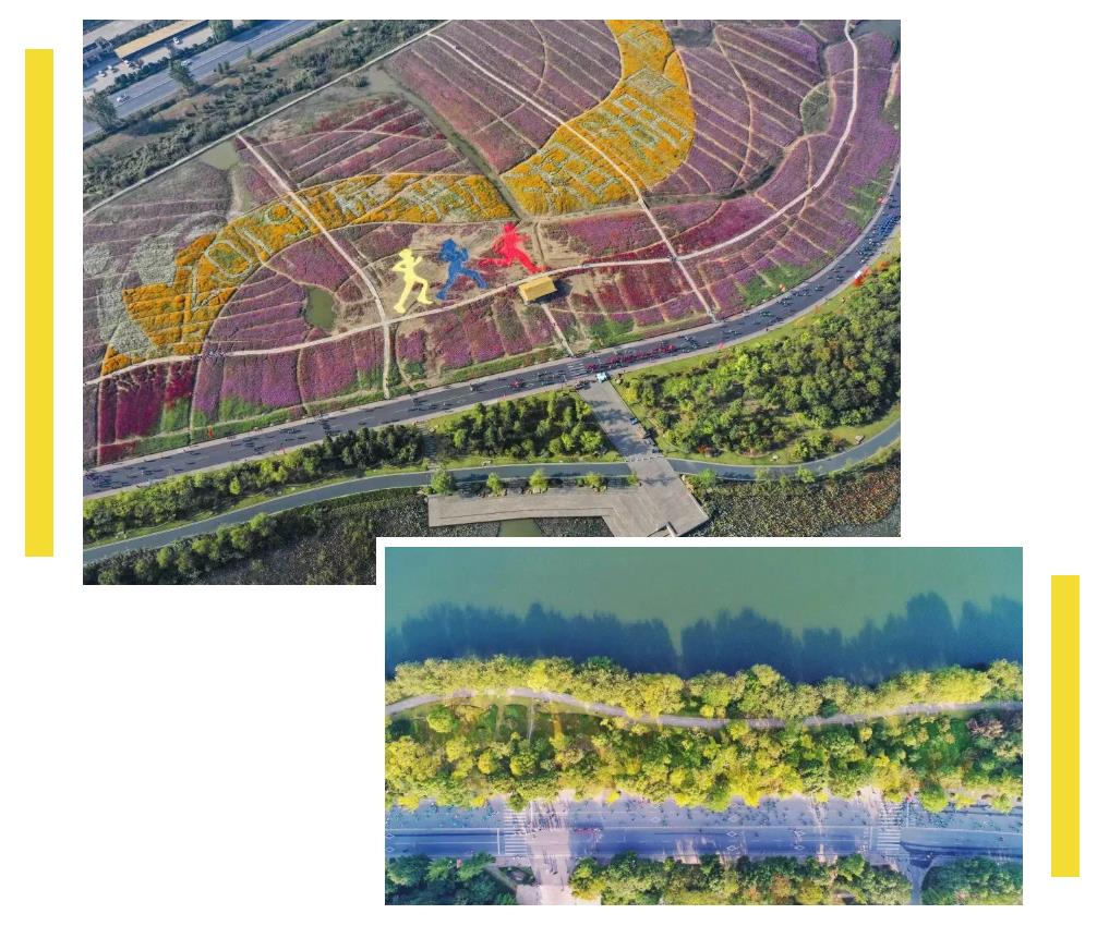 1571705568346993.jpg 1.jpg