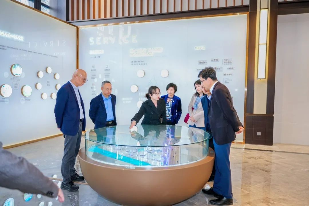 1711072830615081.jpg 2.jpg